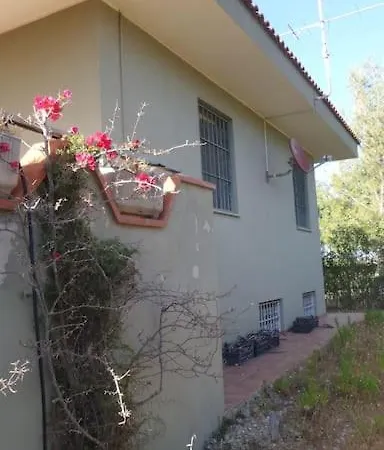 度假居 Dipladenia