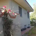 Tatil Evi Dipladenia