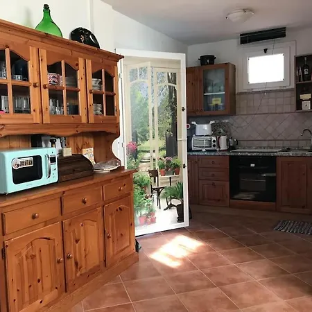 Dipladenia * Sassari
