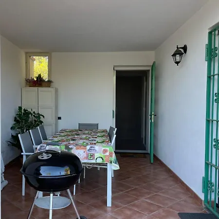 Dipladenia Sassari